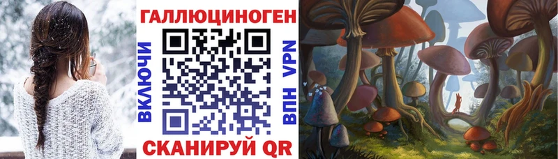 Псилоцибиновые грибы GOLDEN TEACHER  Инта 